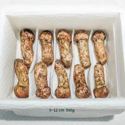 2025新鲜松茸云南香格里拉菌菇食用菌产地直发煲汤松茸干批发图3