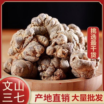 三七种植 专批发云南文山三七头田七三七粉云南文山产地大货批发 三七种植 专批发云南文山三七头田七三七粉云南文山产地大货批发