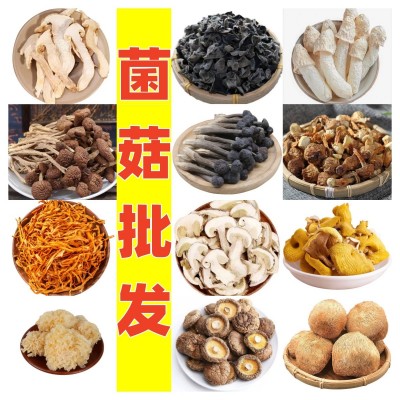 批发袋装组合菌菇 鹿茸菇姬松茸羊肚菌香菇花菇鸡枞猴头菇茶树菇图2