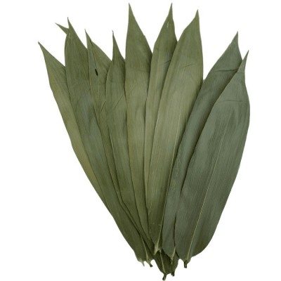 批发简装干粽叶散装粽叶 真空包装大粽叶端午新鲜粽叶竹竹叶图5