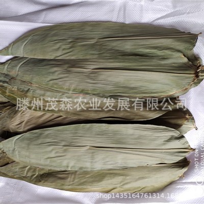批发简装干粽叶散装粽叶 真空包装大粽叶端午新鲜粽叶竹竹叶图2