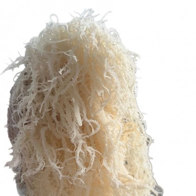 龙须菜批发海石花凉拌菜潮货鹿角菜麒麟菜原货海藻有机海洋商用图5