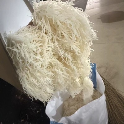 龙须菜批发海石花凉拌菜潮货鹿角菜麒麟菜原货海藻有机海洋商用图3