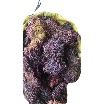 海南石花菜海藻麒麟菜血珊瑚草海燕窝海石花膏海凉粉海冻菜干货图5