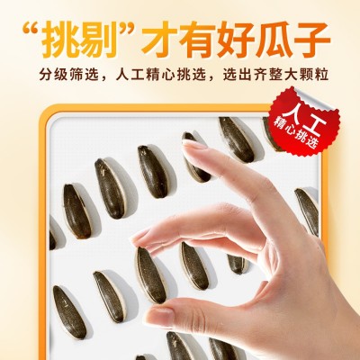 原味瓜子内蒙古生熟葵花籽大颗粒零食坚果仁袋装散装批发生香瓜子图3