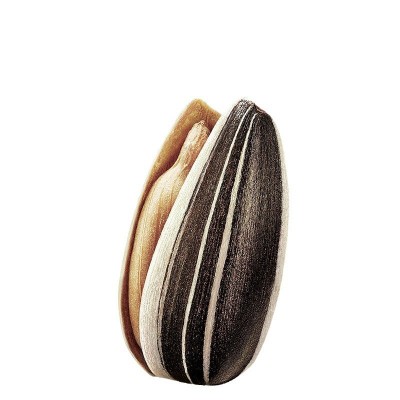 原味瓜子内蒙古生熟葵花籽大颗粒零食坚果仁袋装散装批发生香瓜子图4