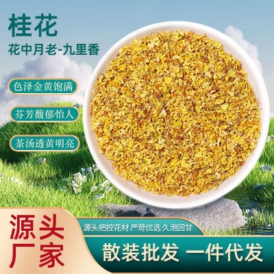 厂家直销桂花养生茶新花代用茶桂花干花食用泡水烘焙泡酒散装批发图5