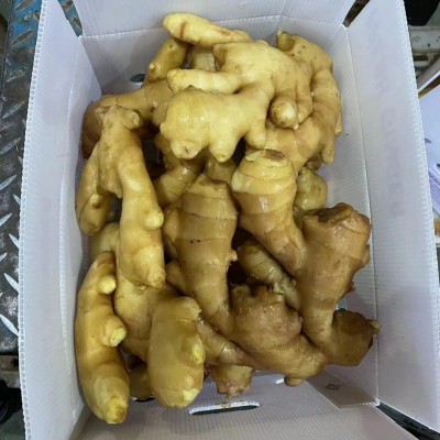 100g 150g 250g现货销售鲜姜 山东基地现货供应菜姜生姜图3