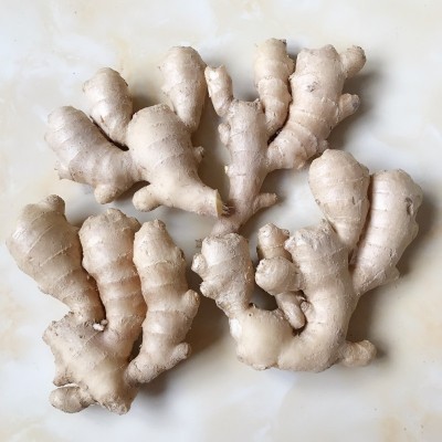 100g 150g 250g现货销售鲜姜 山东基地现货供应菜姜生姜图2