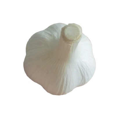 山东苍山四六瓣大蒜兰陵46瓣苍山大蒜蒜头批发零售白皮蒜苍山大蒜图5