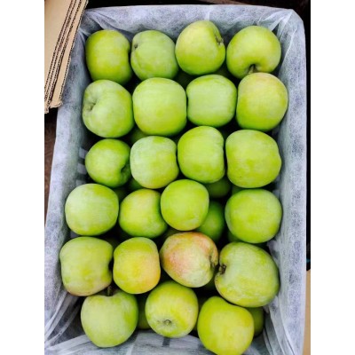 大量供应出口新鲜水果 富士苹果 红星苹果 鸭梨 皇冠梨图2