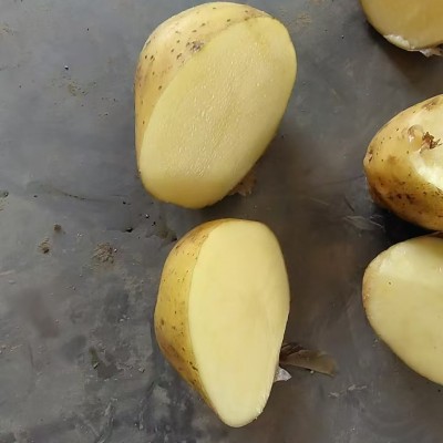 出跨境口土豆级别，荷兰土豆出跨境口非洲马来西亚土豆专业跨境土图3