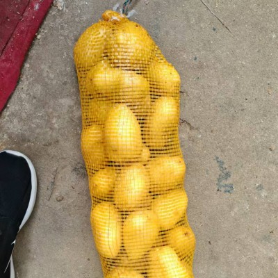 出跨境口土豆级别，荷兰土豆出跨境口非洲马来西亚土豆专业跨境土图2