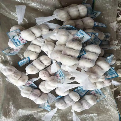 出口紫皮大蒜 大量供应出口大蒜出口东南亚非洲大蒜中东大蒜图2