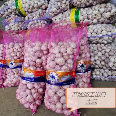 出口紫皮大蒜 大量供应出口大蒜出口东南亚非洲大蒜中东大蒜图5