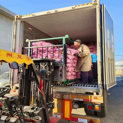 出口紫皮大蒜 大量供应出口大蒜出口东南亚非洲大蒜中东大蒜图4