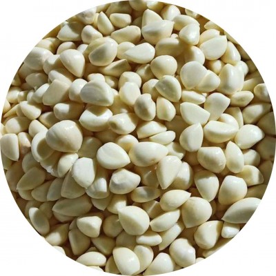 蒜子 蒜米去皮保鲜出口标准真空袋纸箱辣味十足糖度高不泡水蒜米图2