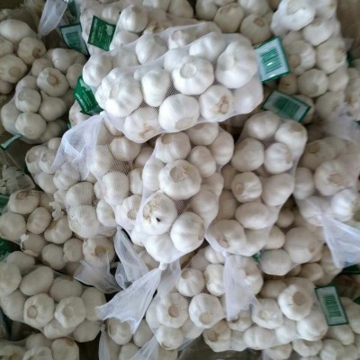 出口大蒜多种规格包装基地产地直发保鲜大蒜加工邳州蒜头图5