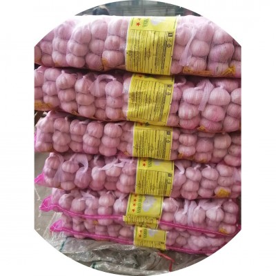 出口大蒜多种规格包装大蒜基地直发保鲜大蒜加工含商检白蒜图4