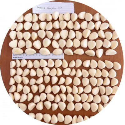 大量供应去皮保鲜大蒜米 去皮大蒜现做现发 大蒜子 蒜去皮蒜图4