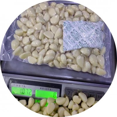 大量供应去皮保鲜大蒜米 去皮大蒜现做现发 大蒜子 蒜去皮蒜图5