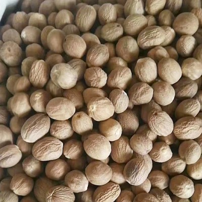 肉蔻调味香料500g豆蔻调料玉果调味品源头工厂商用香料批发图4