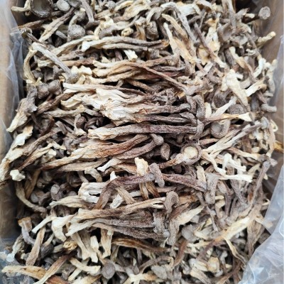 鹿茸菇干货500g批发新货鹿茸菌鲜香脆嫩古田菌菇一件代发独立包装图3