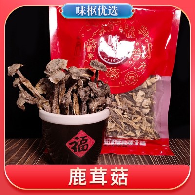 鹿茸菇干货500g批发新货鹿茸菌鲜香脆嫩古田菌菇一件代发独立包装 鹿茸菇干货500g批发新货鹿茸菌鲜香脆嫩古田菌菇一件代发独立包装