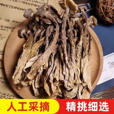 鹿茸菇干货500g批发新货鹿茸菌鲜香脆嫩古田菌菇一件代发独立包装图2