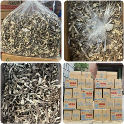 鹿茸菇干货500g批发新货鹿茸菌鲜香脆嫩古田菌菇一件代发独立包装图4