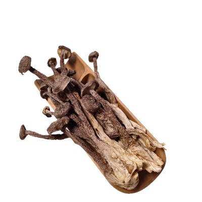 鹿茸菇干货500g批发新货鹿茸菌鲜香脆嫩古田菌菇一件代发独立包装图5