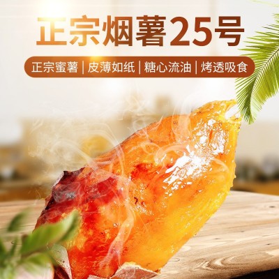 烟薯25号 正宗糖心流油烤地瓜 产地直发一件代发