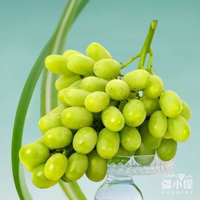 疆小提梦境香妃青提新疆葡萄应季新鲜水果脆甜多汁薄皮无籽葡萄图3