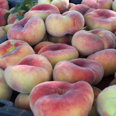 新疆特产大蟠桃石河子104团应季黄白肉纽扣扁毛桃软桃新鲜水果图2