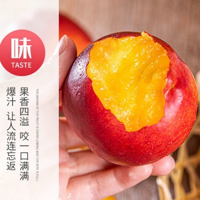 新疆库尔勒沙漠芒果桃新鲜水果当季红皮油桃麻油桃产地直发现货图5