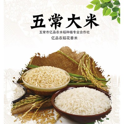 亿品农正宗五常稻花香大米10公斤散米 五常稻花香米东北大米批发图3