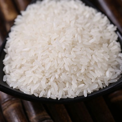 2025年新米包邮长粒米优质籼米丝苗米5斤*10袋煮饭厂家直供香米图3