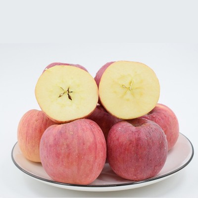 产地直发陕西高山纸袋红富苹果带箱9斤批发新鲜苹果一件代发图3