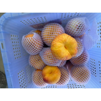 陕西大黄蟠桃12个一箱4.5斤左右26图4