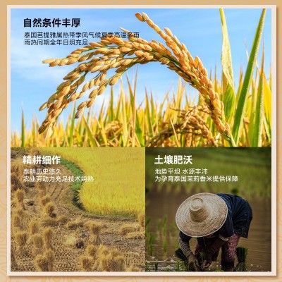 金芝兰泰国原装进口茉莉香米10斤泰国大米5kg真空包装乌纹府香米图4