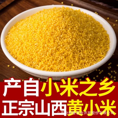 汾都香 黄小米 五谷杂粮农家新小米石磨农家黄小米真空2斤图2