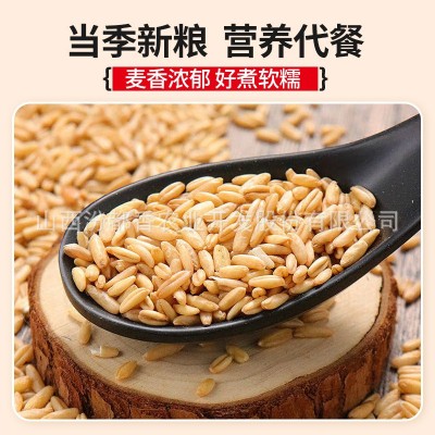 汾都香 燕麦米 新米5斤批发燕麦仁新燕麦米批发10斤胚芽直销图2
