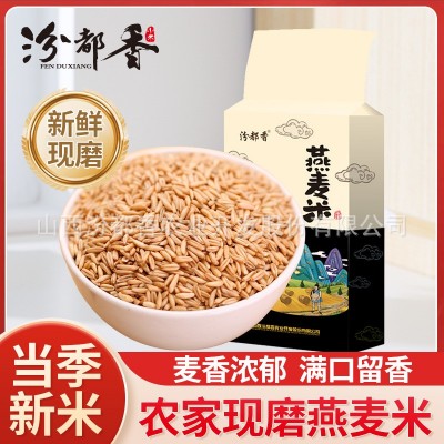 汾都香 燕麦米 新米5斤批发燕麦仁新燕麦米批发10斤胚芽直销 汾都香 燕麦米 新米5斤批发燕麦仁新燕麦米批发10斤胚芽直销