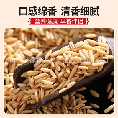 汾都香 燕麦米 新米5斤批发燕麦仁新燕麦米批发10斤胚芽直销图3