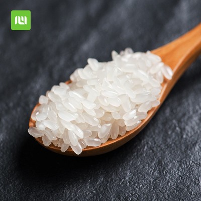 2024年东北新米五常长粒香米5kg10斤真空袋装厂家一件代发图5