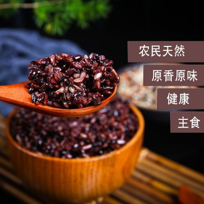 2024年正宗东北五常十色糙米5斤2.5kg真空袋装五谷杂粮一件代发图4