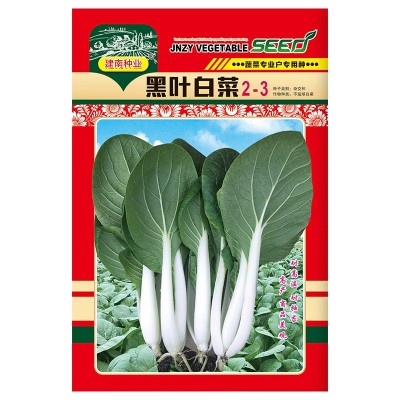 黑叶白菜种子2-3耐寒耐热高产四季快菜种籽小白菜种大田蔬菜种孑图5