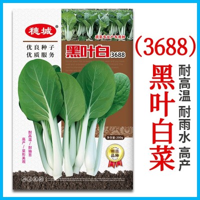 蔬菜种子批发黑叶白菜种籽小白菜籽四季杂交耐热耐雨水公司高品质 蔬菜种子批发黑叶白菜种籽小白菜籽四季杂交耐热耐雨水公司高品质