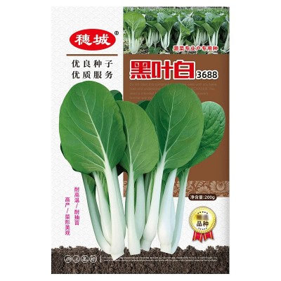 蔬菜种子批发黑叶白菜种籽小白菜籽四季杂交耐热耐雨水公司高品质图5