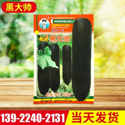 直销蔬菜种子黑大帅黑皮冬瓜皮光滑冬瓜种子易种快大 营养好图2
